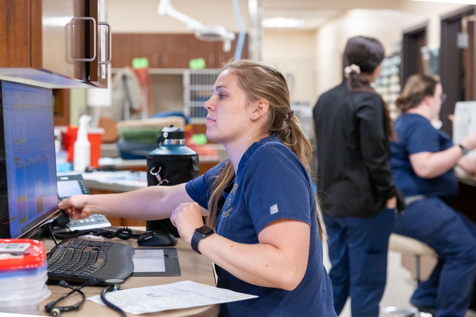 HighQuality Vet Hospital in Leesburg, VA North Oatlands Animal